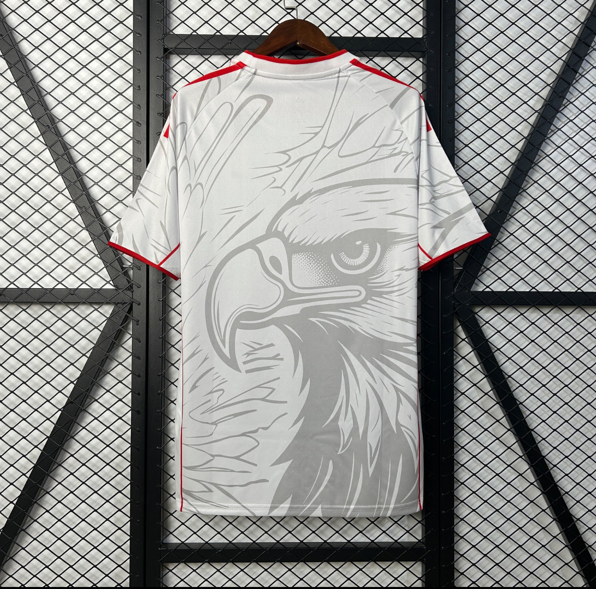 Benfica Maillot Spécial Édition 25-26
